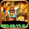528cpf Pro BR v3.9.1