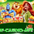 76d VIP Casino App