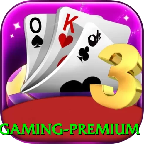 luck02 Gaming Premium - game