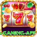trevobet Mega Gaming App